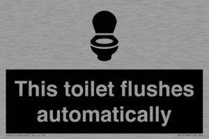 This toilet flushes automatically